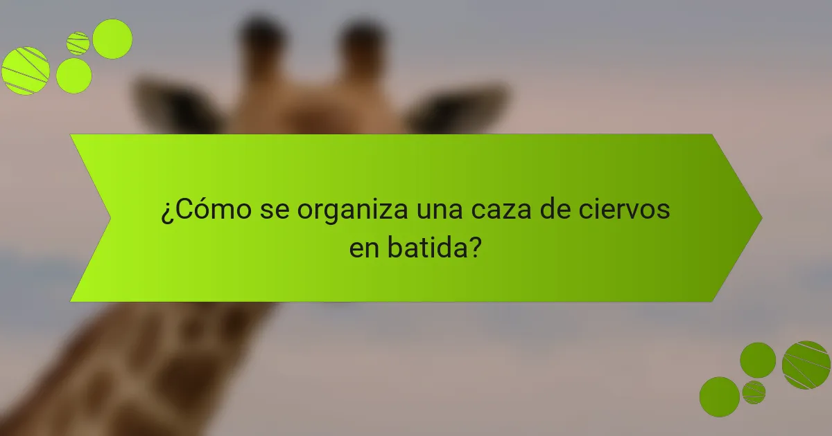¿Cómo se organiza una caza de ciervos en batida?