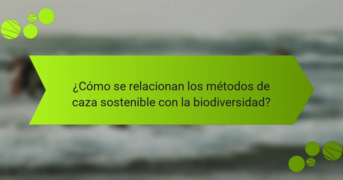 ¿Cómo se relacionan los métodos de caza sostenible con la biodiversidad?