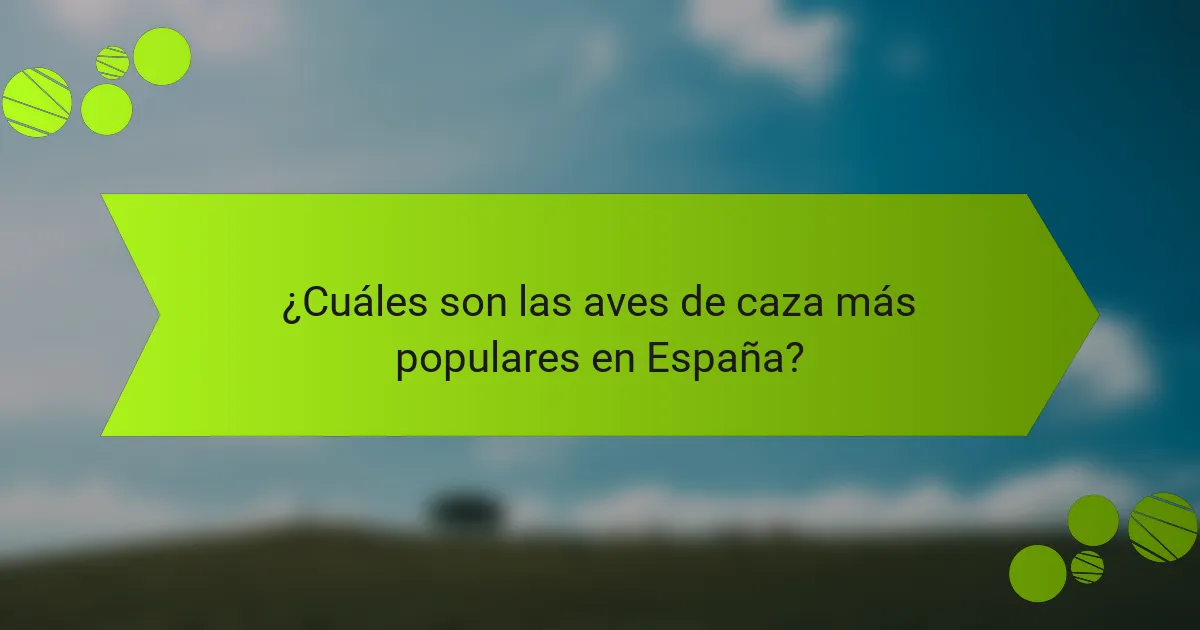 ¿Cuáles son las aves de caza más populares en España?
