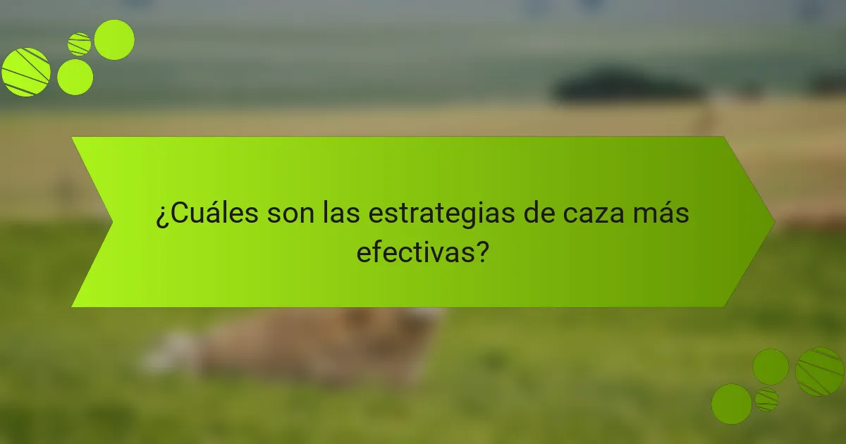 ¿Cuáles son las estrategias de caza más efectivas?
