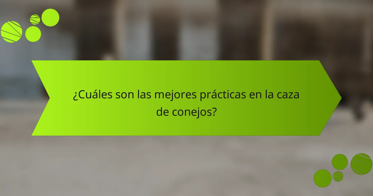 ¿Cuáles son las mejores prácticas en la caza de conejos?