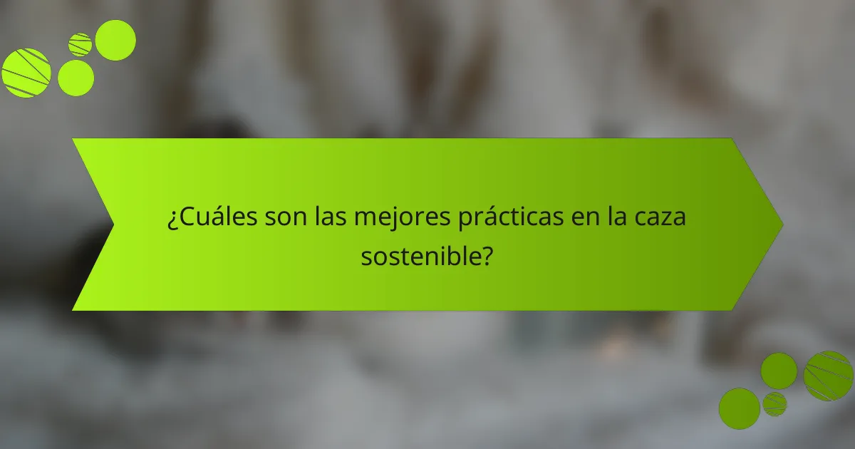 ¿Cuáles son las mejores prácticas en la caza sostenible?