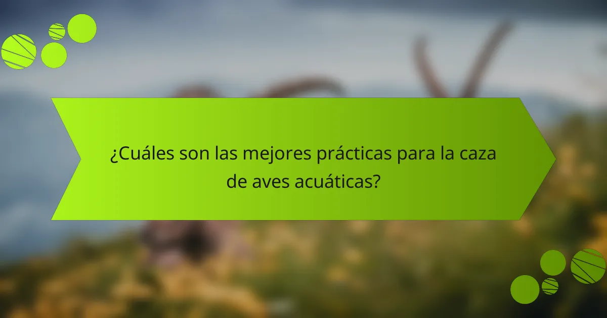 ¿Cuáles son las mejores prácticas para la caza de aves acuáticas?