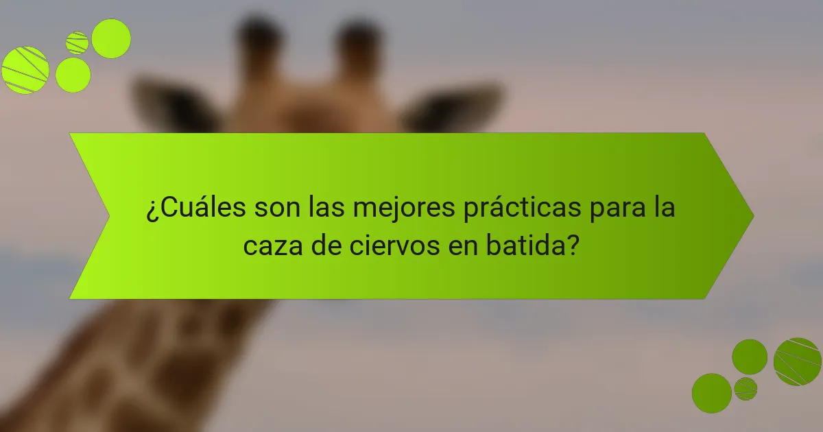 ¿Cuáles son las mejores prácticas para la caza de ciervos en batida?