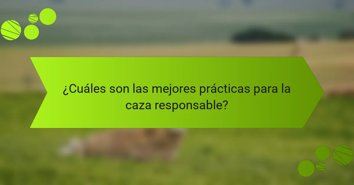 ¿Cuáles son las mejores prácticas para la caza responsable?