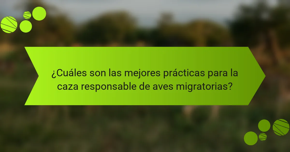 ¿Cuáles son las mejores prácticas para la caza responsable de aves migratorias?