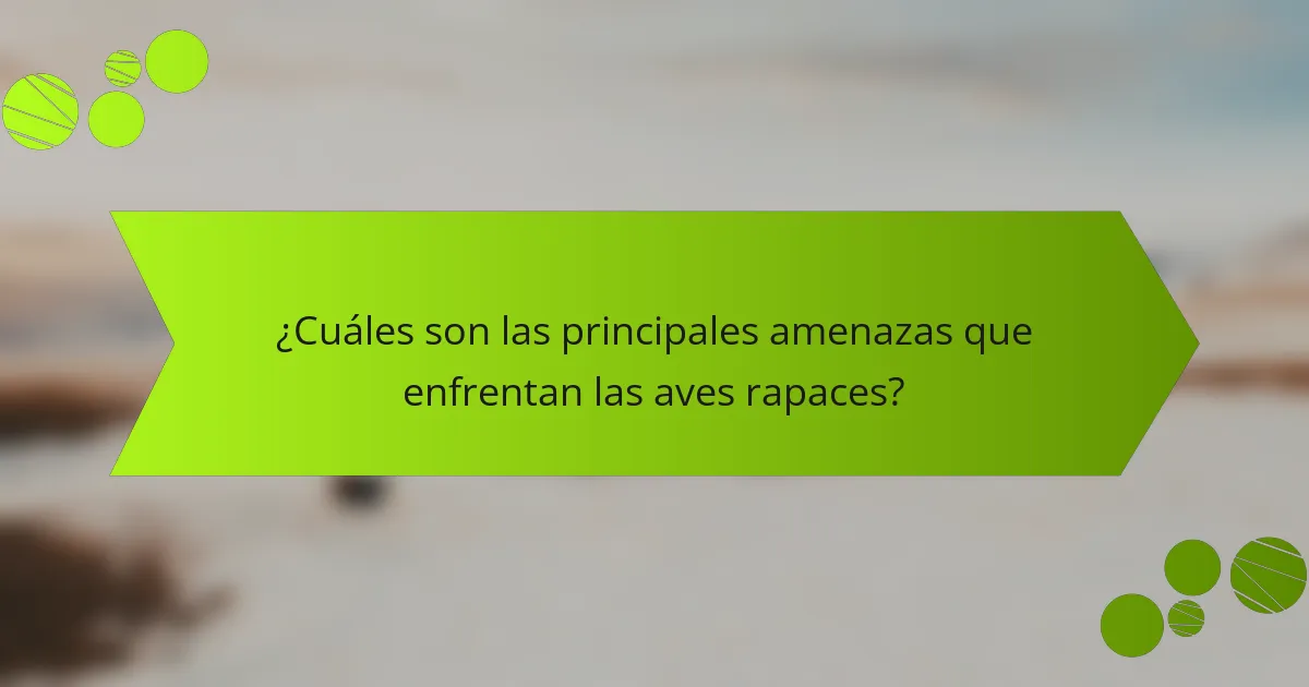 ¿Cuáles son las principales amenazas que enfrentan las aves rapaces?