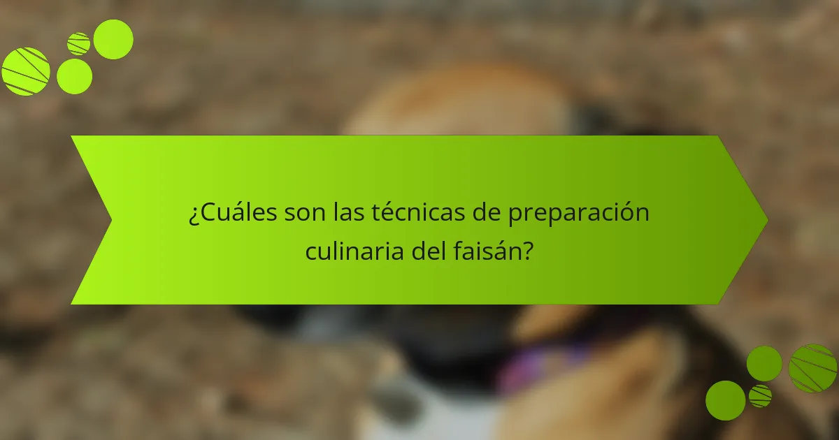 ¿Cuáles son las técnicas de preparación culinaria del faisán?