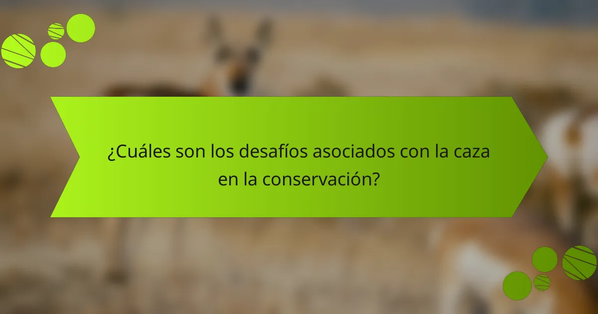 ¿Cuáles son los desafíos asociados con la caza en la conservación?
