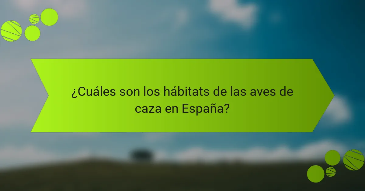 ¿Cuáles son los hábitats de las aves de caza en España?