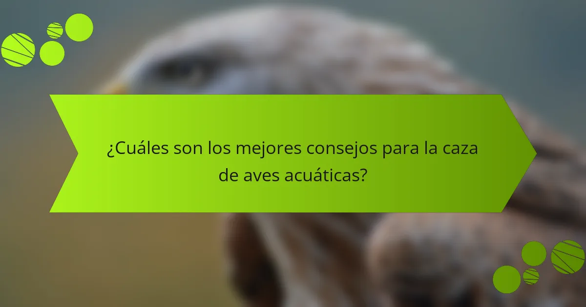 ¿Cuáles son los mejores consejos para la caza de aves acuáticas?