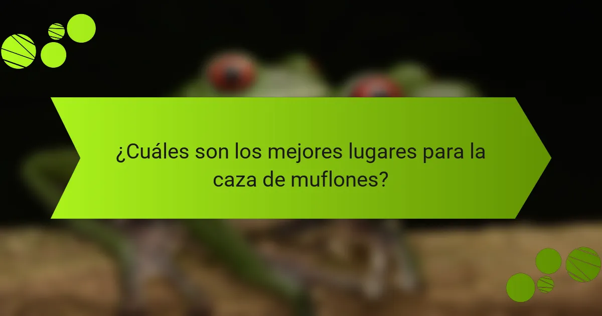 ¿Cuáles son los mejores lugares para la caza de muflones?