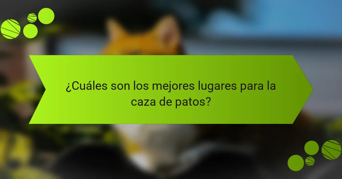 ¿Cuáles son los mejores lugares para la caza de patos?