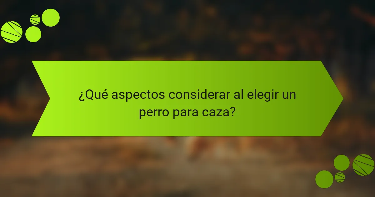 ¿Qué aspectos considerar al elegir un perro para caza?