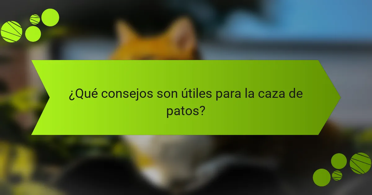 ¿Qué consejos son útiles para la caza de patos?