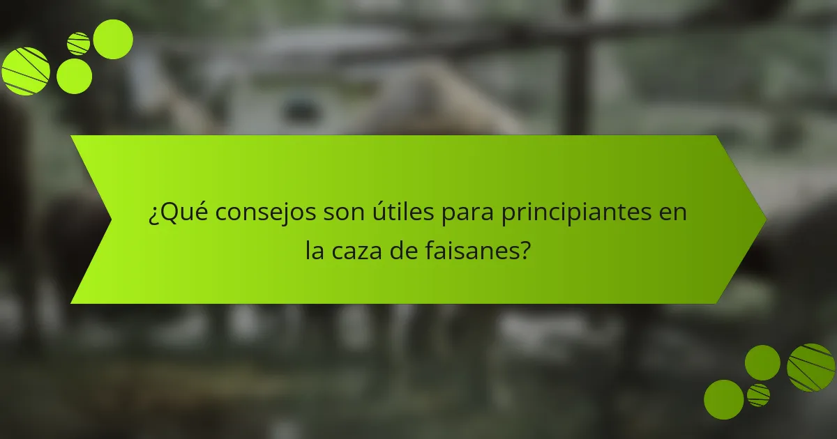 ¿Qué consejos son útiles para principiantes en la caza de faisanes?