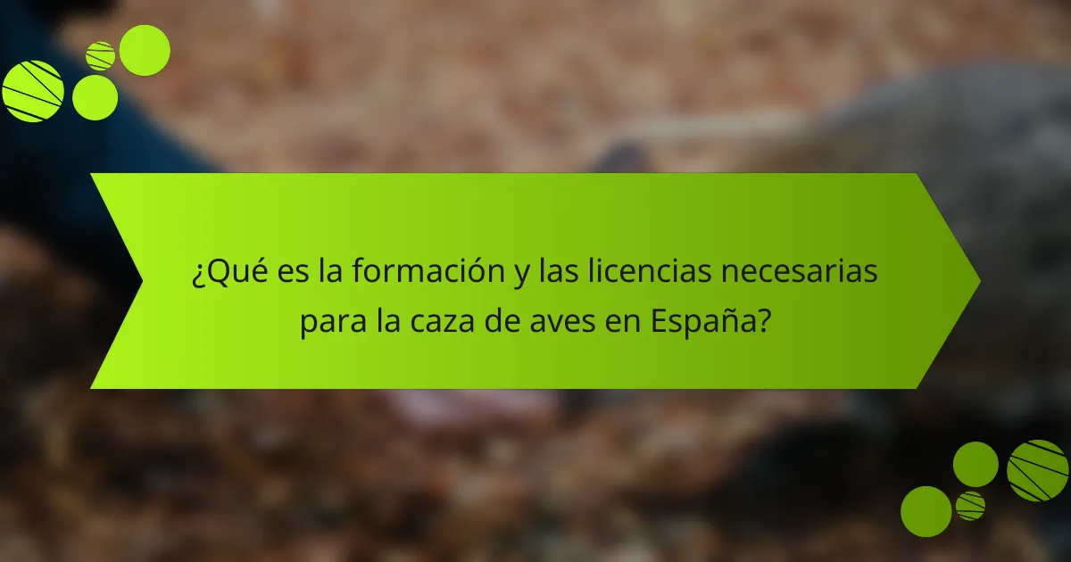 ¿Qué es la formación y las licencias necesarias para la caza de aves en España?