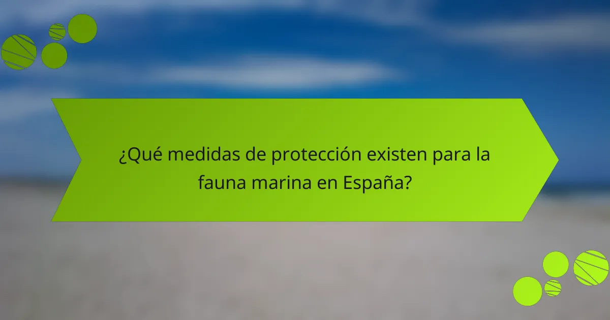 ¿Qué medidas de protección existen para la fauna marina en España?