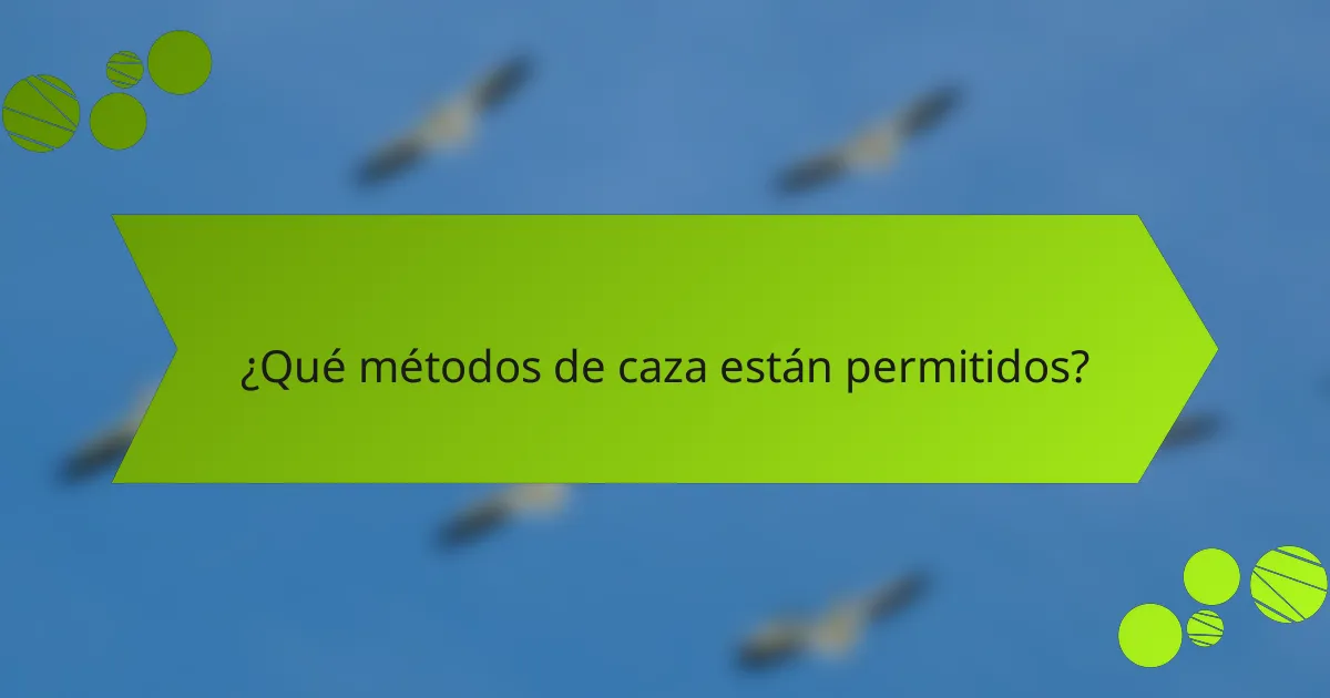 ¿Qué métodos de caza están permitidos?