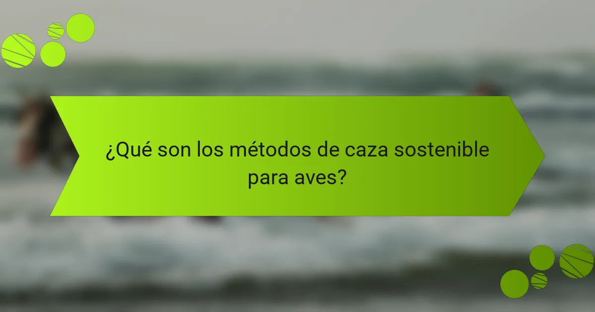 ¿Qué son los métodos de caza sostenible para aves?