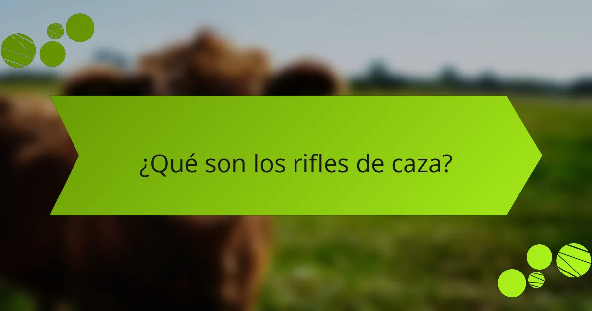 ¿Qué son los rifles de caza?