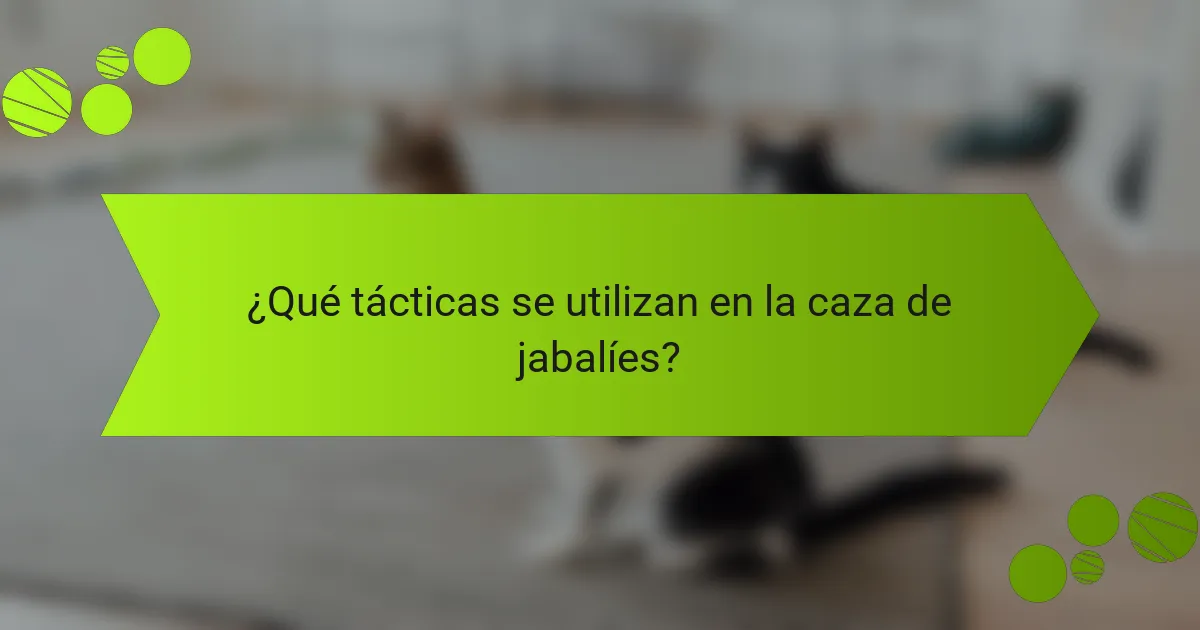 ¿Qué tácticas se utilizan en la caza de jabalíes?