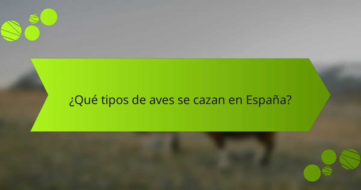 ¿Qué tipos de aves se cazan en España?